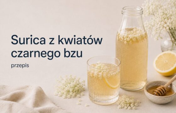 Surica z kwiatów czarnego bzu – przepis