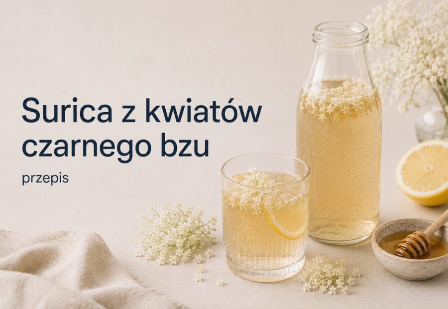 Surica z kwiatów czarnego bzu – przepis