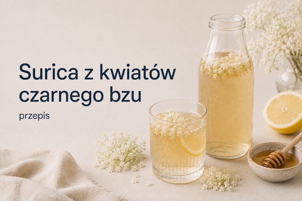 Surica z kwiatów czarnego bzu – przepis